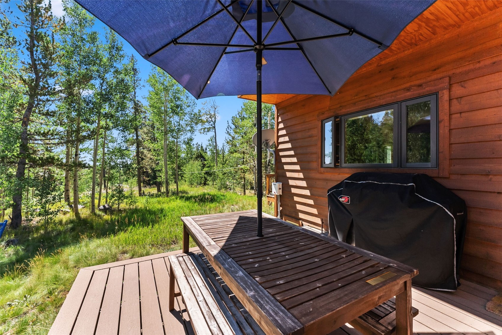 228 Glacier Ridge Road Alma, CO 80420 - Photo 50 of 50 a view of a backyard with sitting area