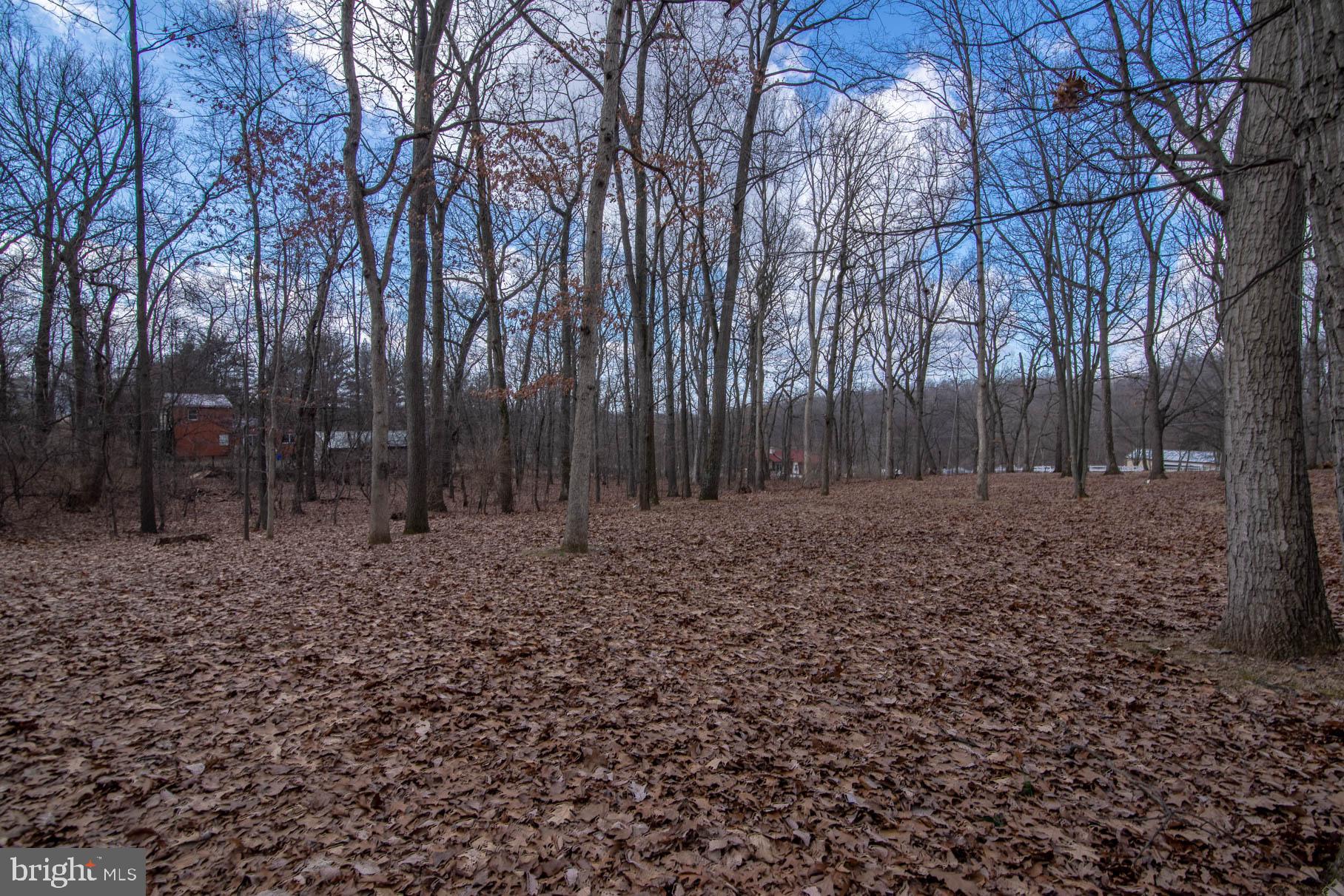 5152 Snyder Mill Road Spring Grove, PA 17362 - Photo 35 of 44
