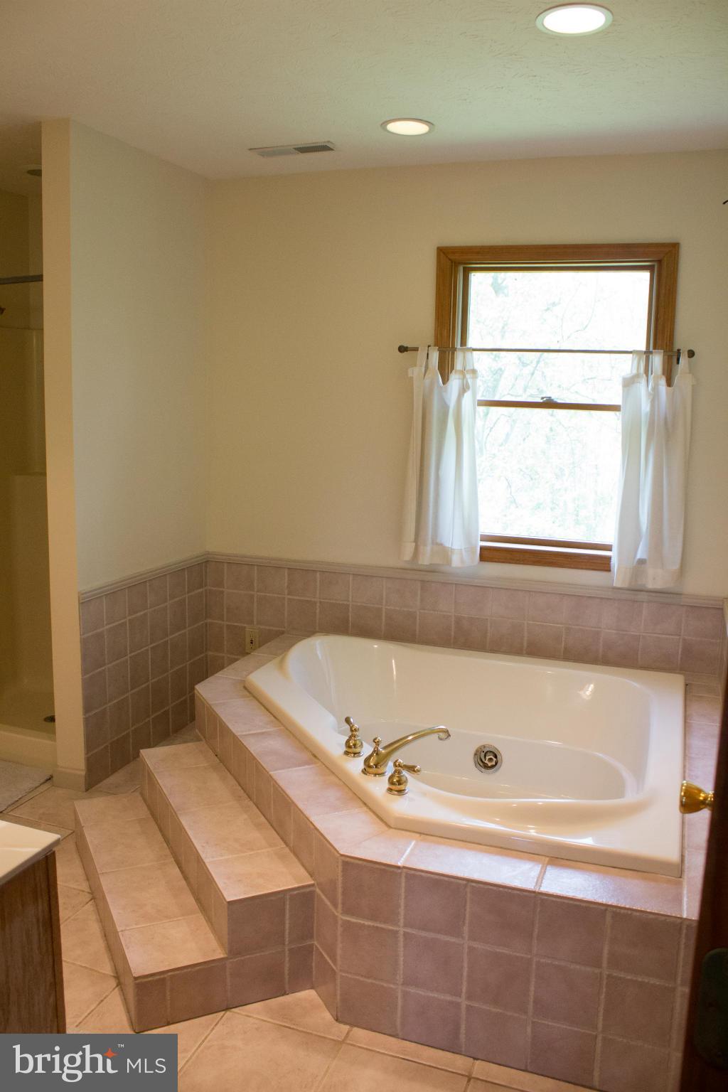 1908 Goldmiller Road Bunker Hill, WV 25413 - Photo 14 of 22 Bath (Master)