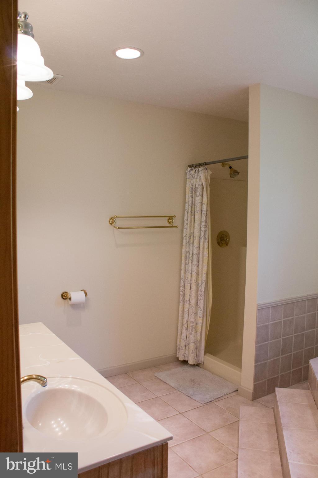 1908 Goldmiller Road Bunker Hill, WV 25413 - Photo 15 of 22 Bath (Master)
