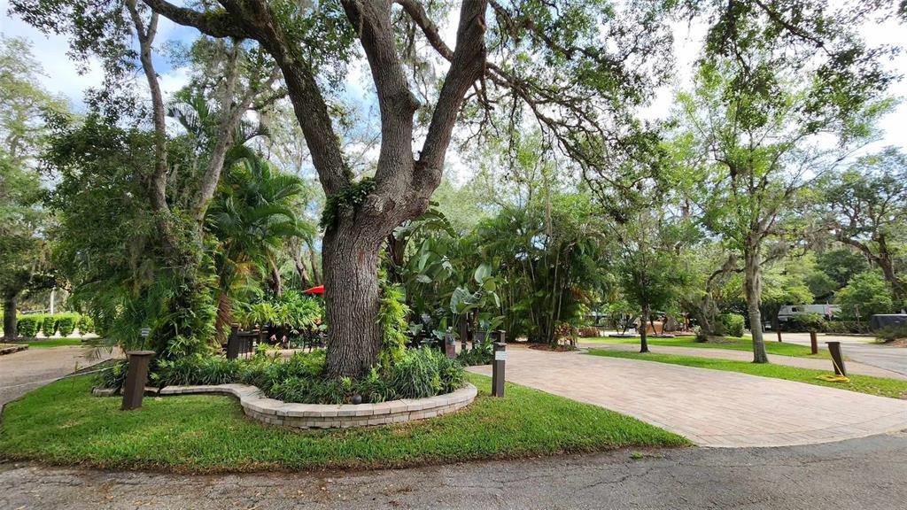 373 Bear Trail River Ranch, FL 33867 - Photo 13 of 14 a view of a garden