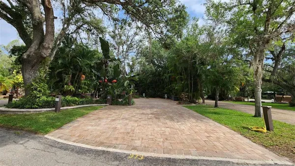 a view of a park with tree s