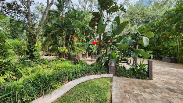 a view of a garden with plants