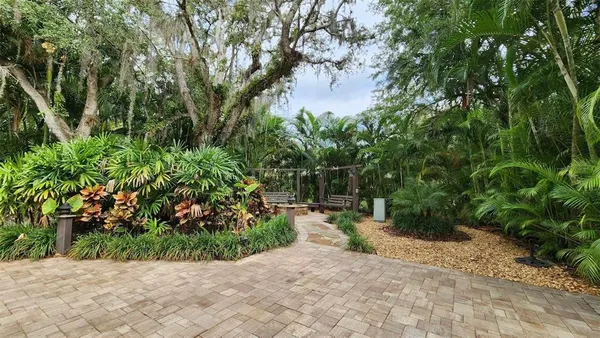 a view of a garden