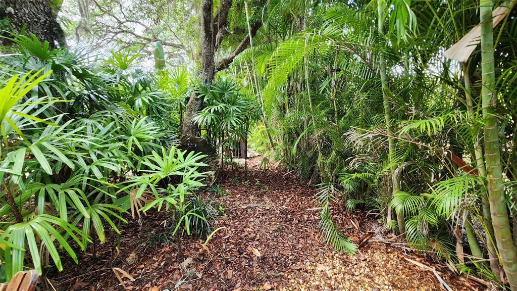 373 Bear Trail River Ranch, FL 33867 - Photo 7 of 14 a view of a garden