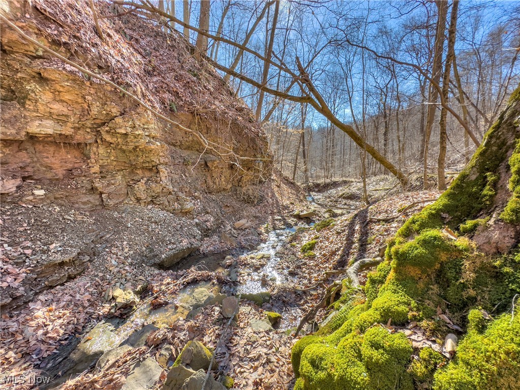 47562 Pratts Run Road Clarington, OH 43915 - Photo 30 of 49 View of landscape