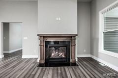 1642 Shadow Ridge Columbia, IL 62236 - Photo 6 of 21 Gallery Image 6
