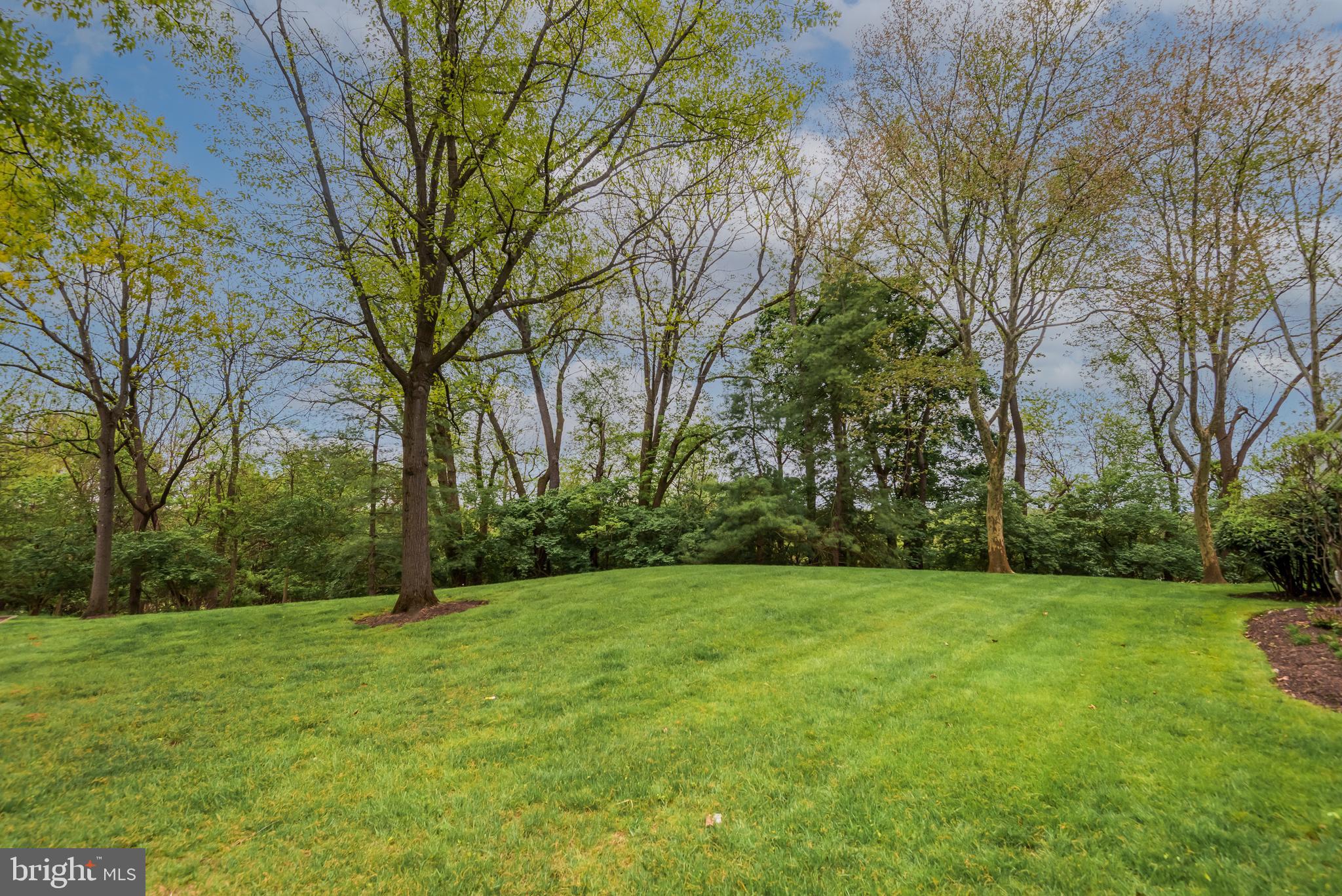 33 Cabot Court Chesterbrook, PA 19087 - Photo 22 of 22
