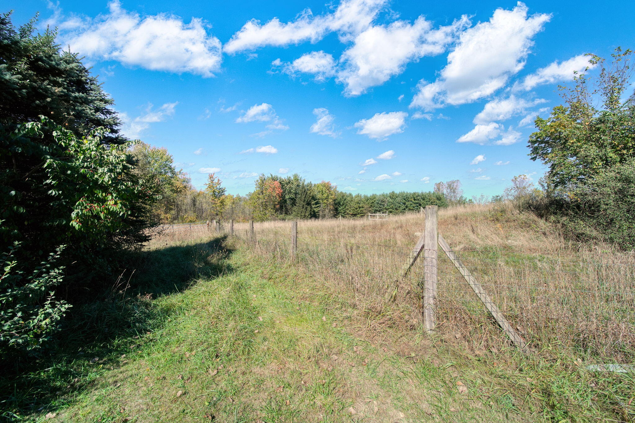 41-acres Gardner Road Parma, MI 49269 - Photo 11 of 25 9-web-or-mls-DSC00540_HDR