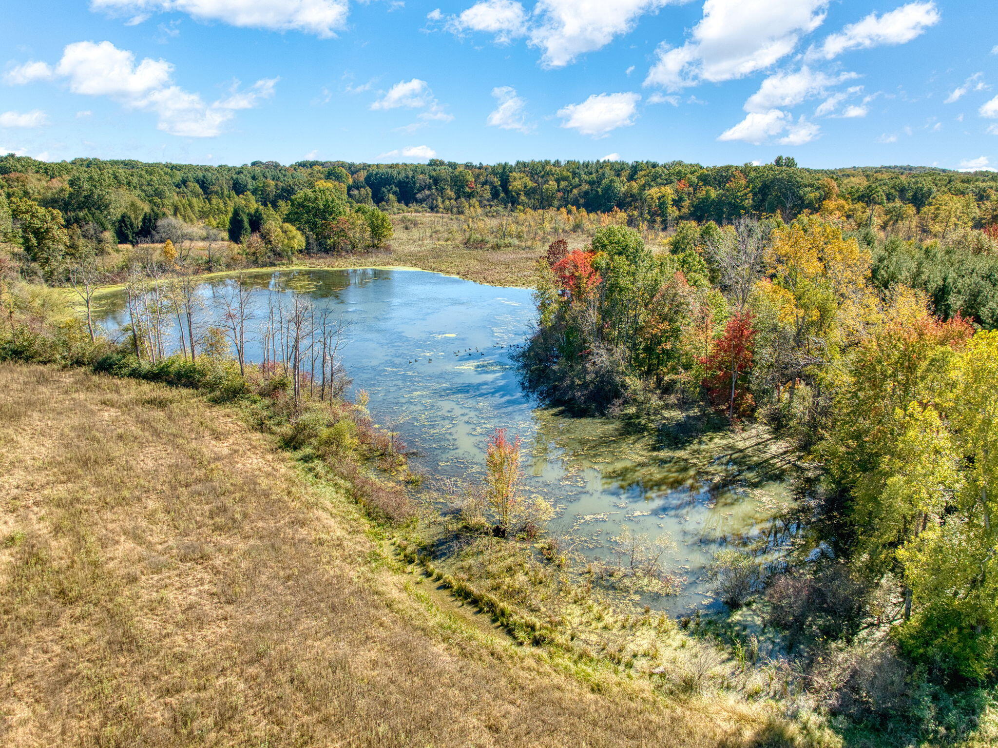 41-acres Gardner Road Parma, MI 49269 - Photo 17 of 25 23-web-or-mls-DJI_0677_HDR