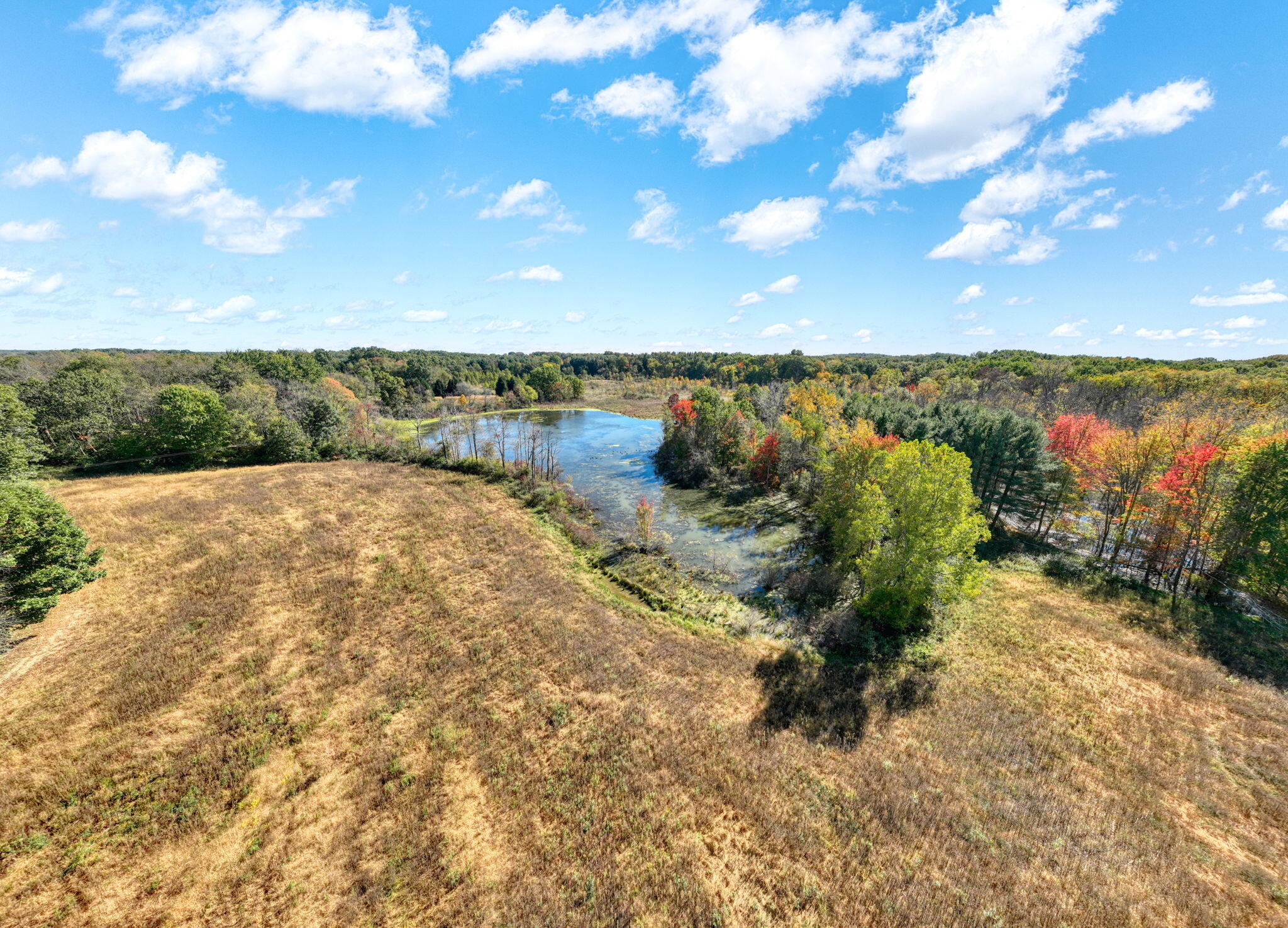 41-acres Gardner Road Parma, MI 49269 - Photo 18 of 25 24-web-or-mls-DJI_0678_HDR