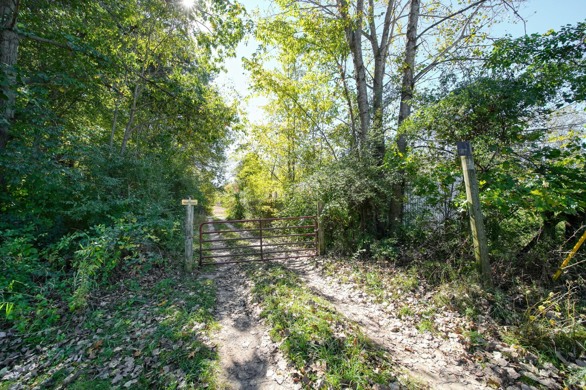 41-acres Gardner Road Parma, MI 49269 - Photo 2 of 25 7-web-or-mls-DSC00525_HDR