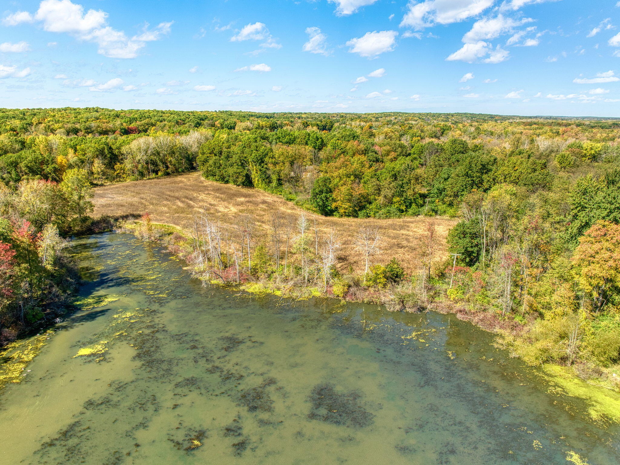 41-acres Gardner Road Parma, MI 49269 - Photo 23 of 25 29-web-or-mls-DJI_0693_HDR