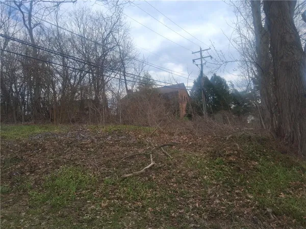a view of a yard with trees in the background