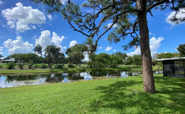 a view of a potted plant in front of a house