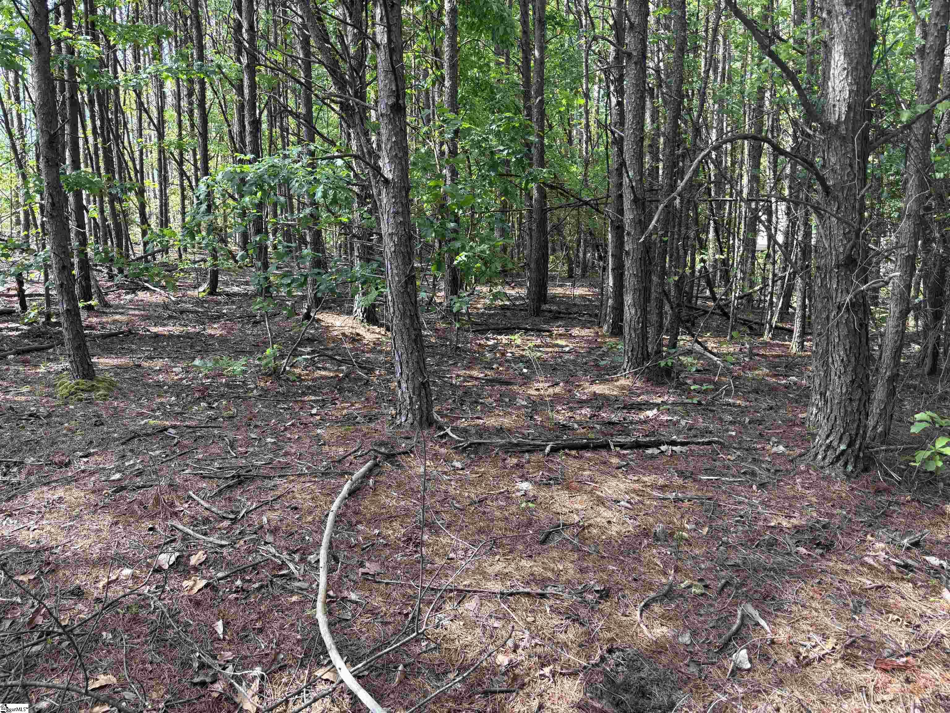 1940 Pleasant Hill Road, Unit LOT 3B Greer, SC 29651 - Photo 11 of 17