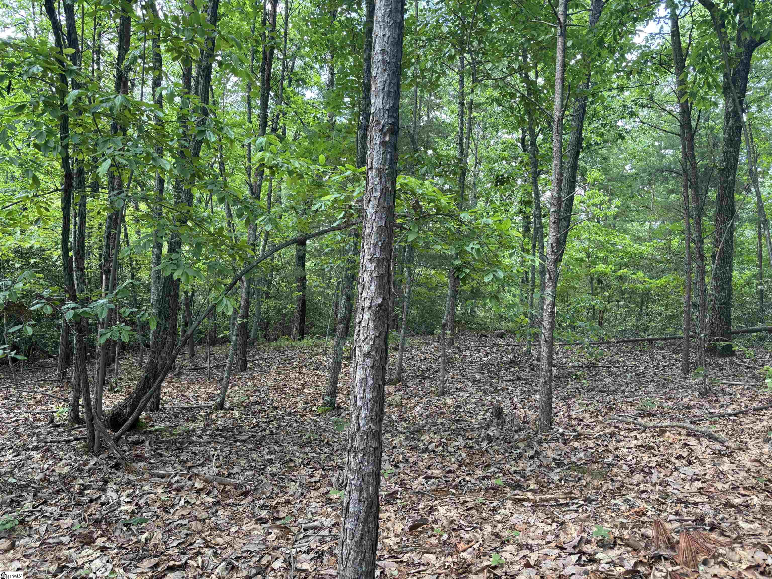 1940 Pleasant Hill Road, Unit LOT 3B Greer, SC 29651 - Photo 13 of 17