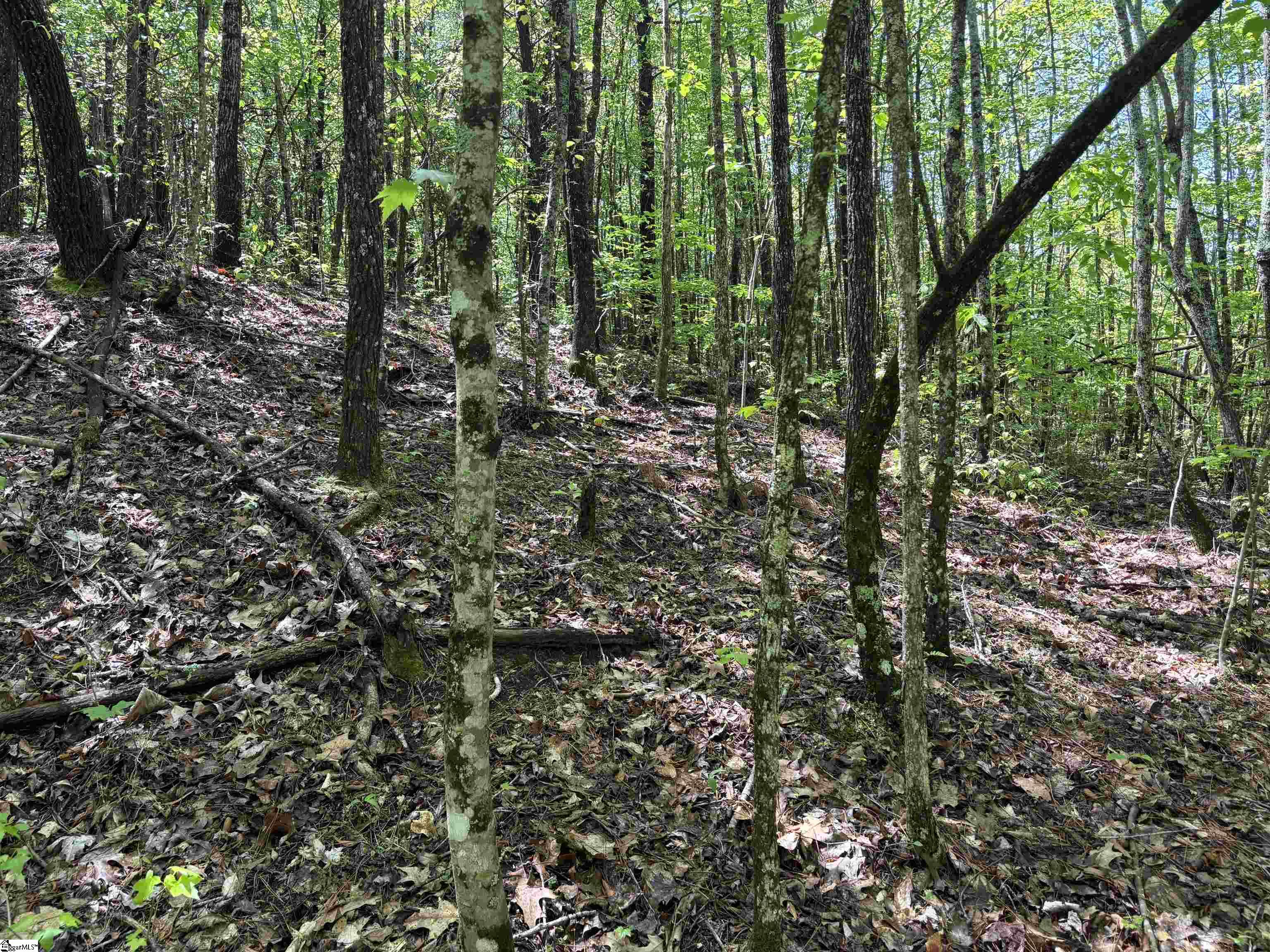 1940 Pleasant Hill Road, Unit LOT 3B Greer, SC 29651 - Photo 14 of 17