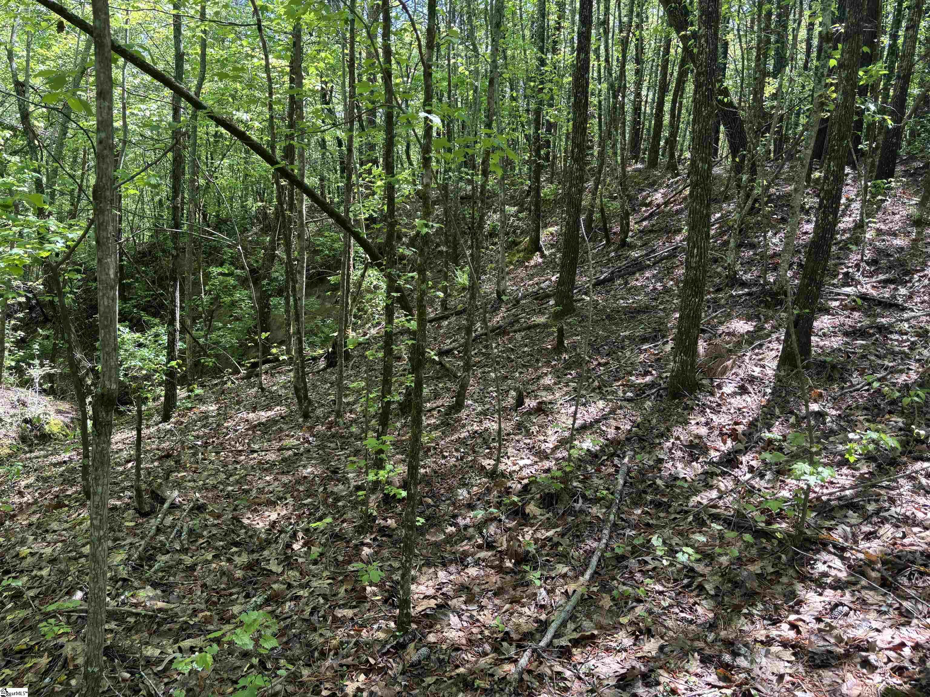 1940 Pleasant Hill Road, Unit LOT 3B Greer, SC 29651 - Photo 15 of 17