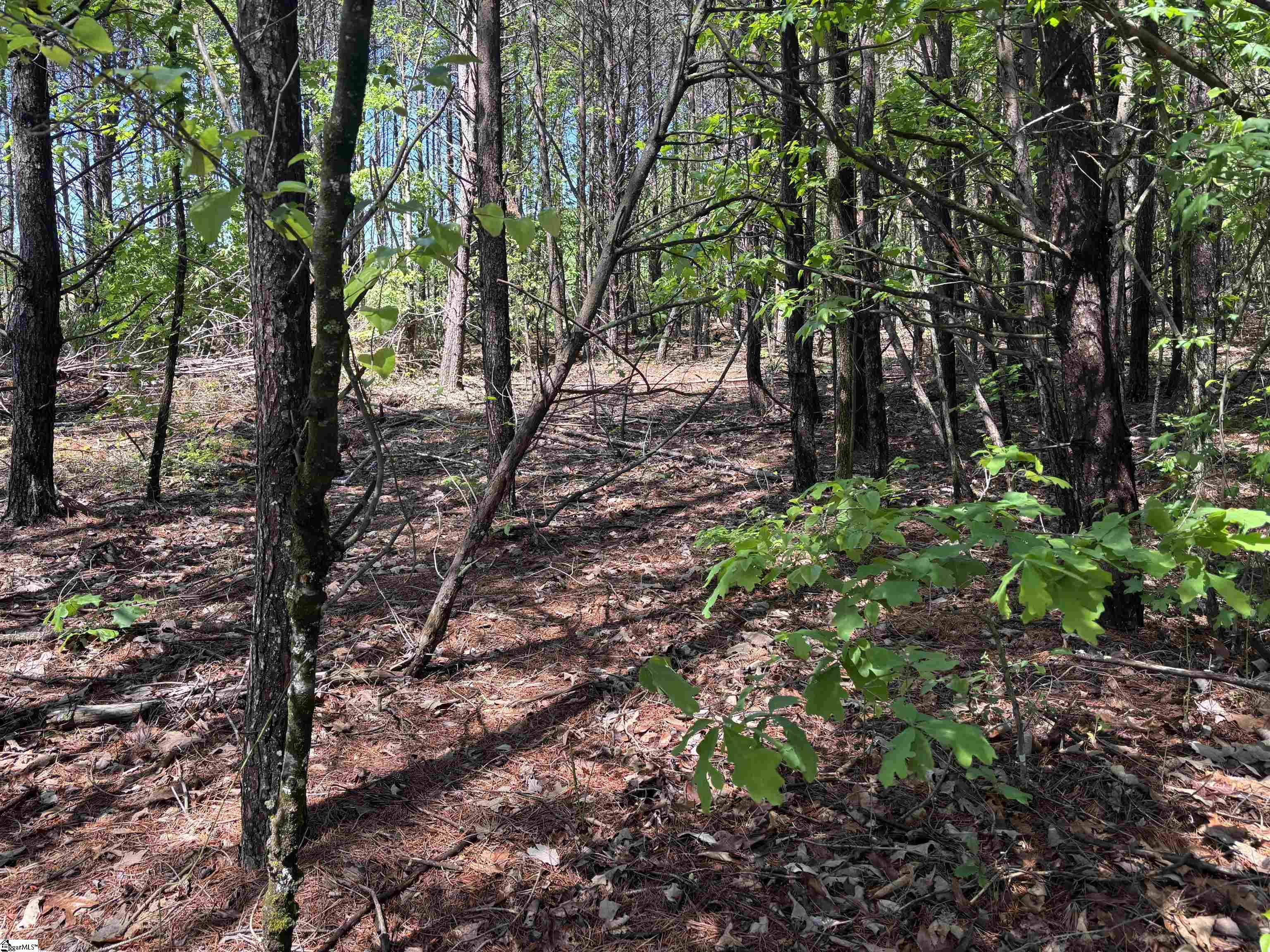 1940 Pleasant Hill Road, Unit LOT 3B Greer, SC 29651 - Photo 16 of 17