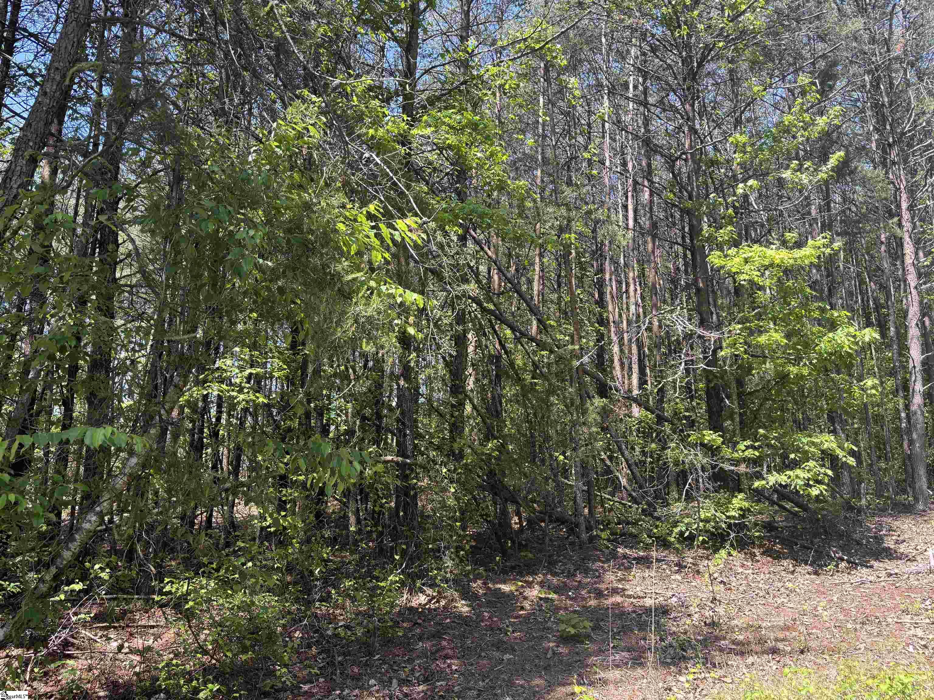 1940 Pleasant Hill Road, Unit LOT 3B Greer, SC 29651 - Photo 17 of 17