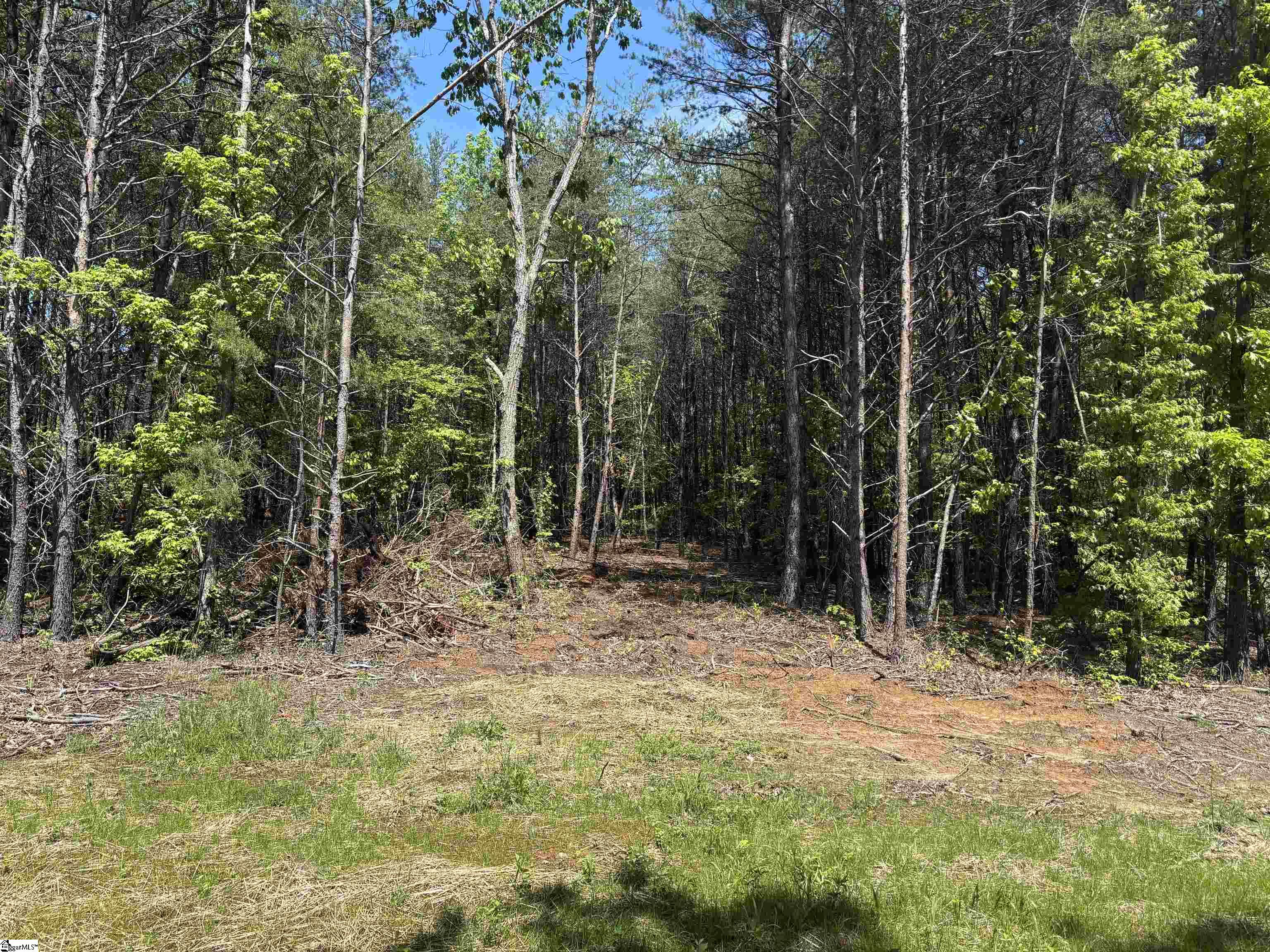 1940 Pleasant Hill Road, Unit LOT 3B Greer, SC 29651 - Photo 4 of 17