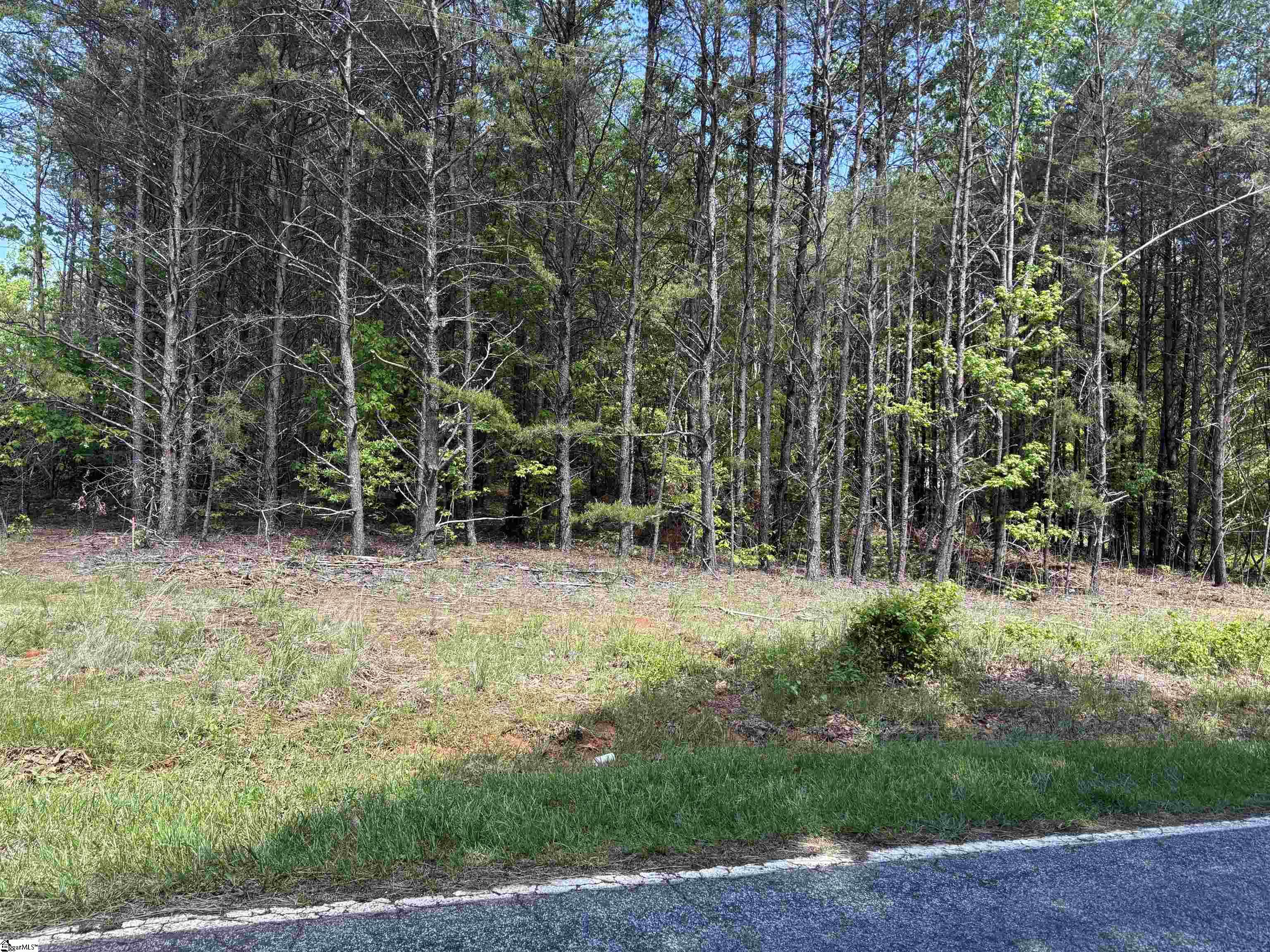 1940 Pleasant Hill Road, Unit LOT 3B Greer, SC 29651 - Photo 5 of 17