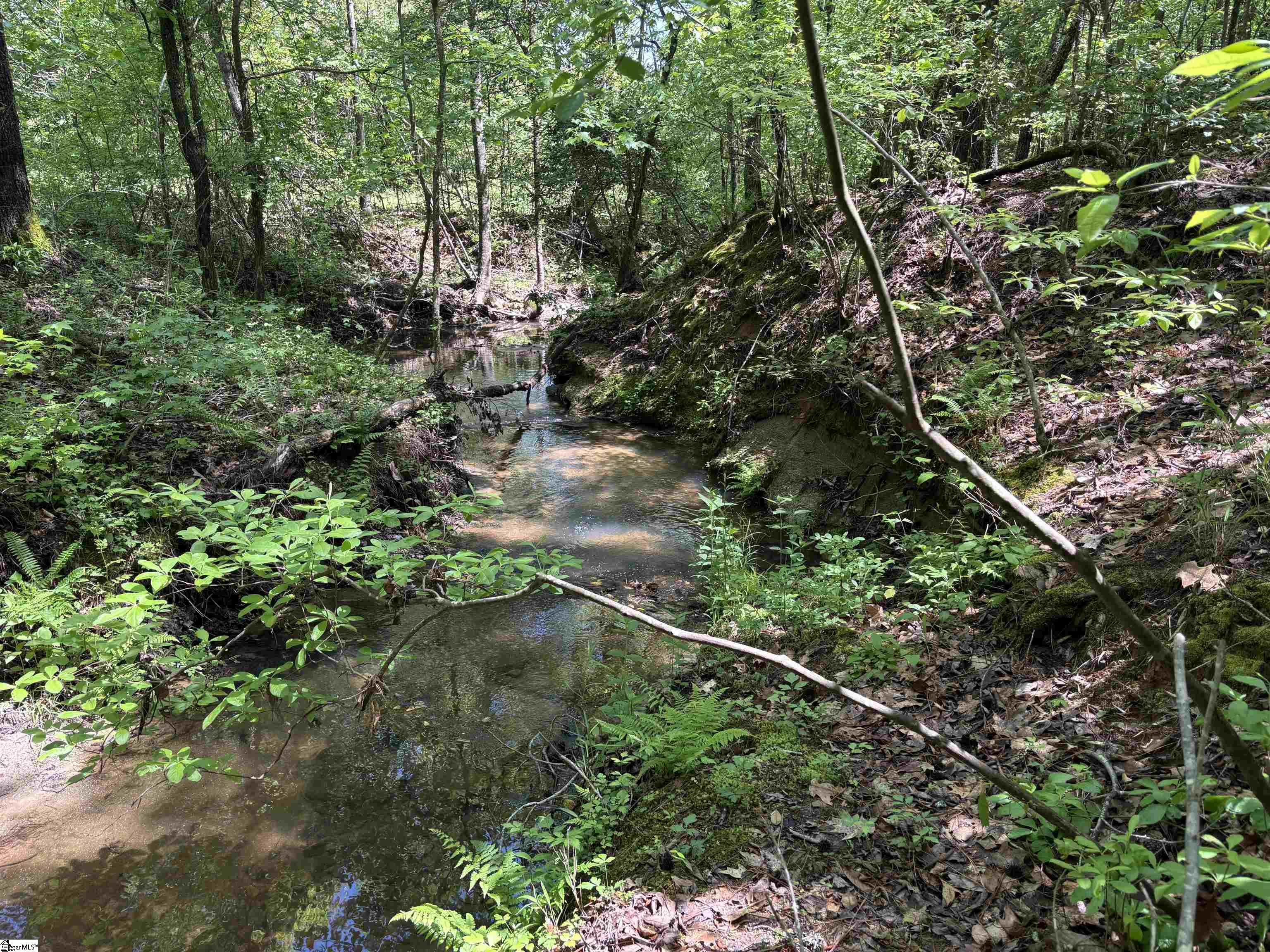 1940 Pleasant Hill Road, Unit LOT 3B Greer, SC 29651 - Photo 9 of 17