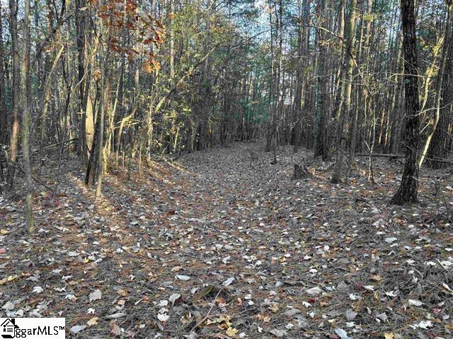 1940 Pleasant Hill Road, Unit LOT 3B Greer, SC 29651 - Photo 9 of 17