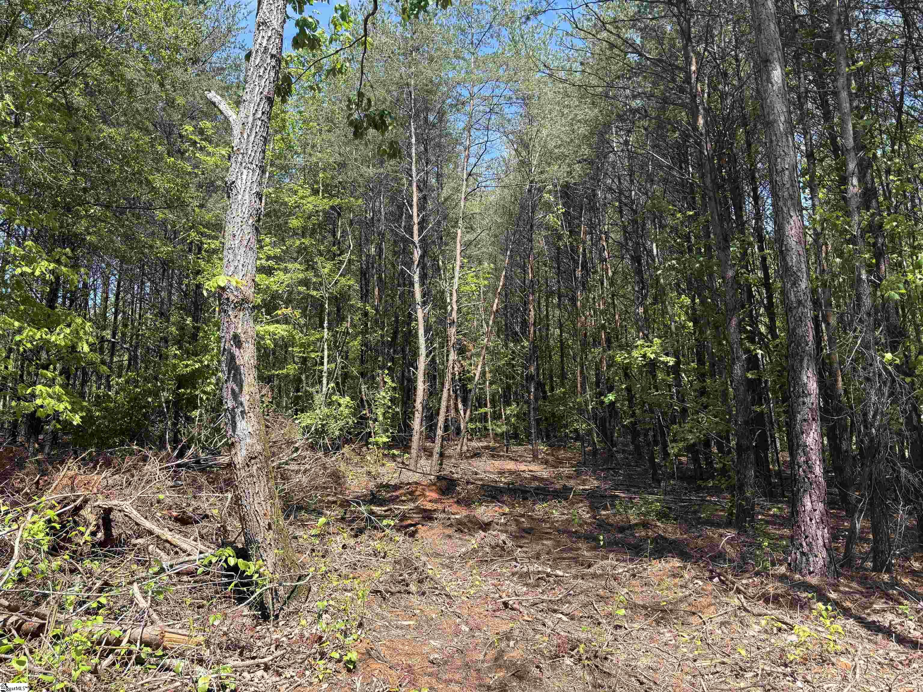 1940 Pleasant Hill Road, Unit LOT 3B Greer, SC 29651 - Photo 10 of 17