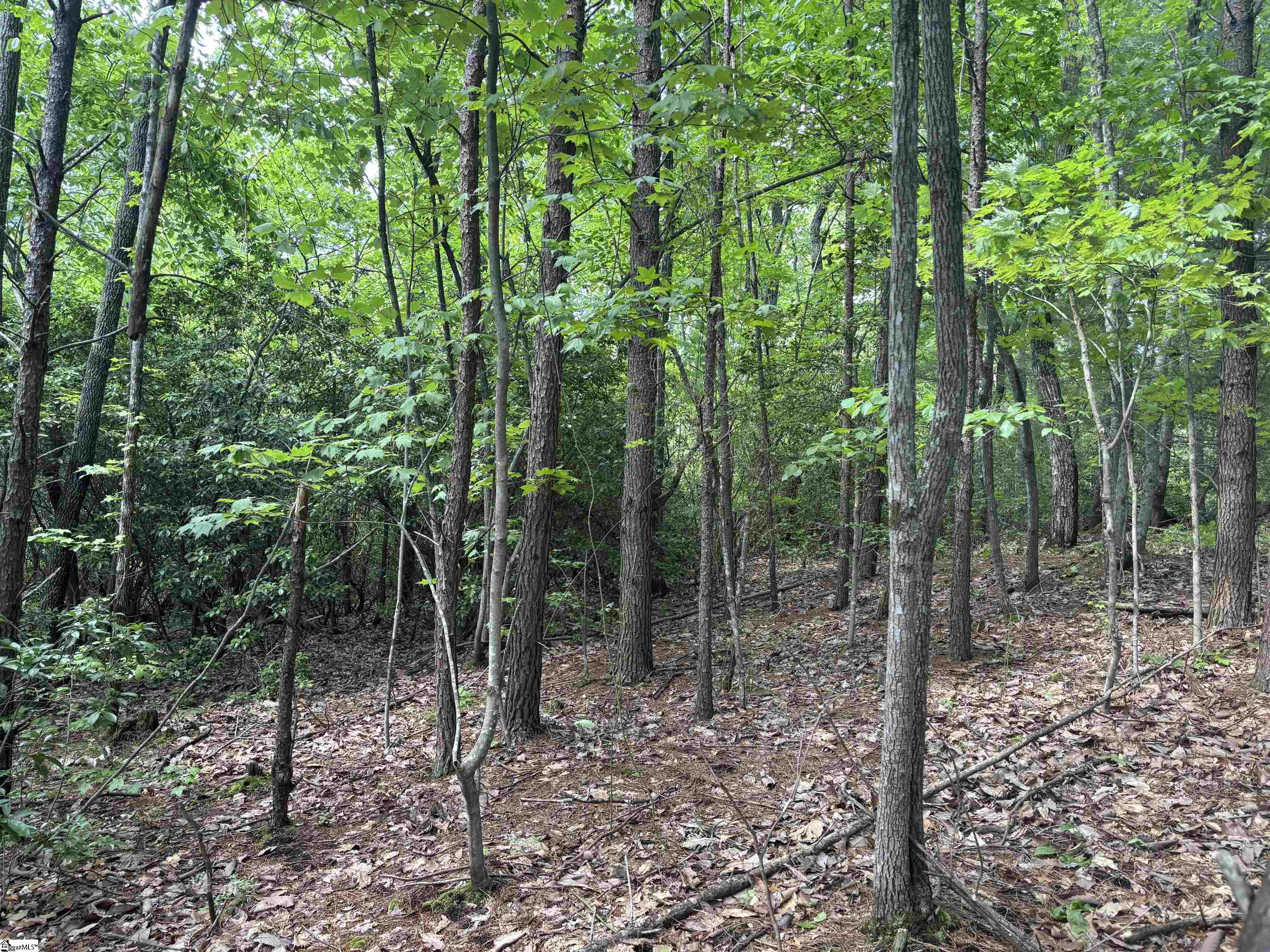 1940 Pleasant Hill Road, Unit LOT 3B Greer, SC 29651 - Photo 10 of 17