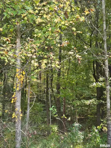 a close up of a mirror