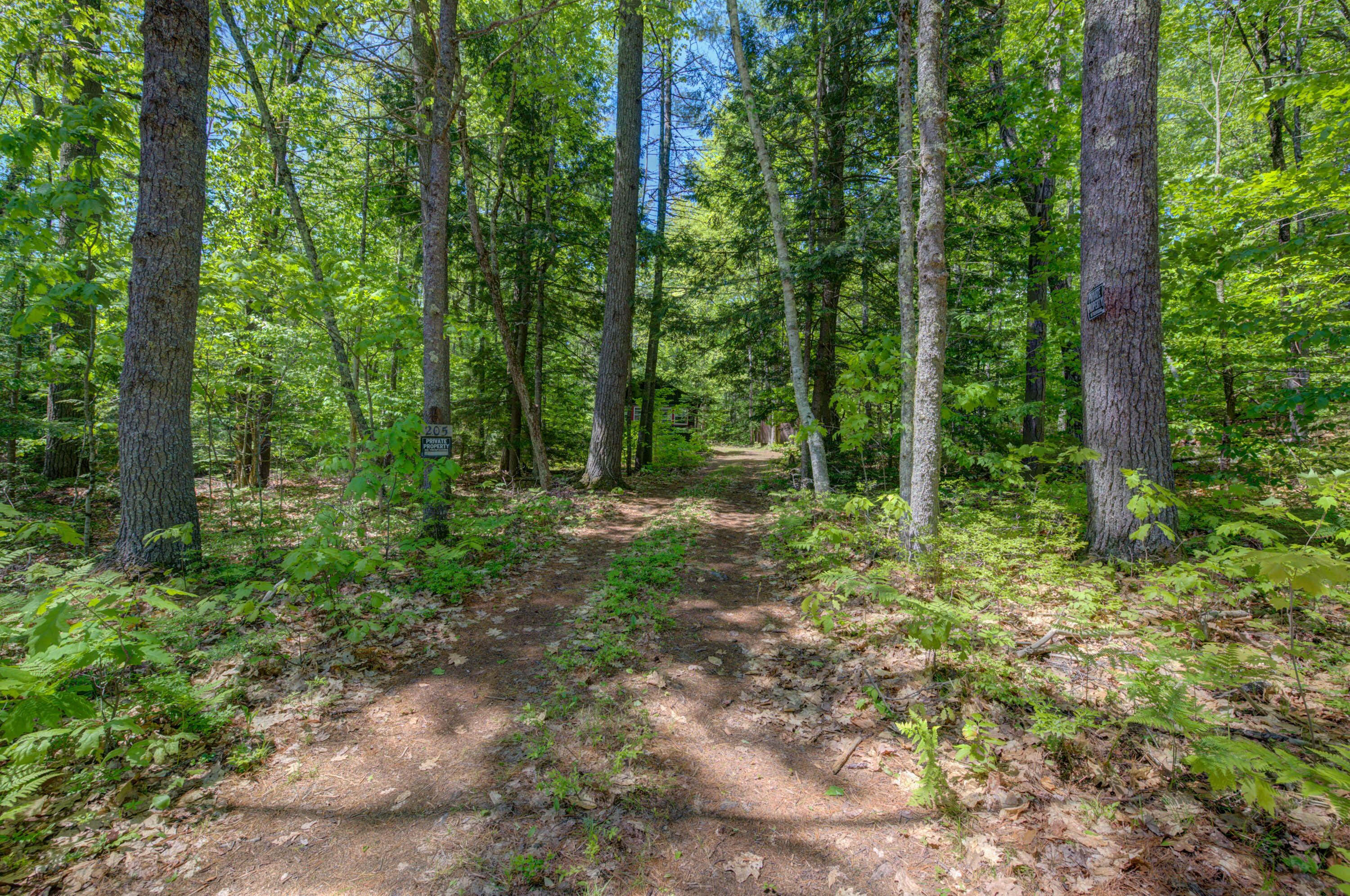205 Northwest River Road Sebago, ME 04029 - Photo 4 of 27 pic-1