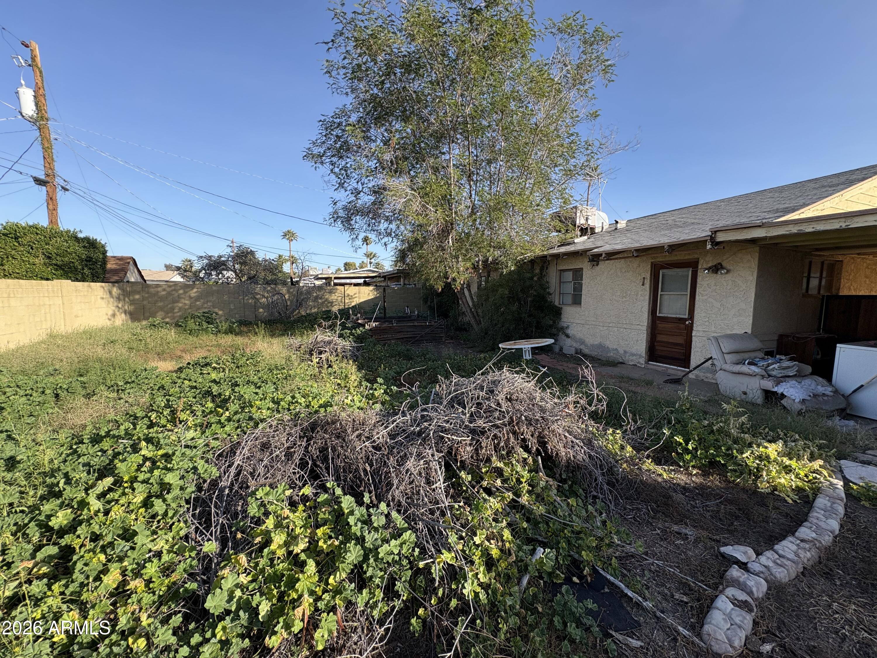 3828 North 33rd Street Phoenix, AZ 85018 - Photo 2 of 3 a backyard of a house with a garden and plants