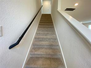213 Saide Street Georgetown, TX 78626 - Photo 17 of 32 Carpeted staircase featuring a dark-finish handrail and recessed lighting