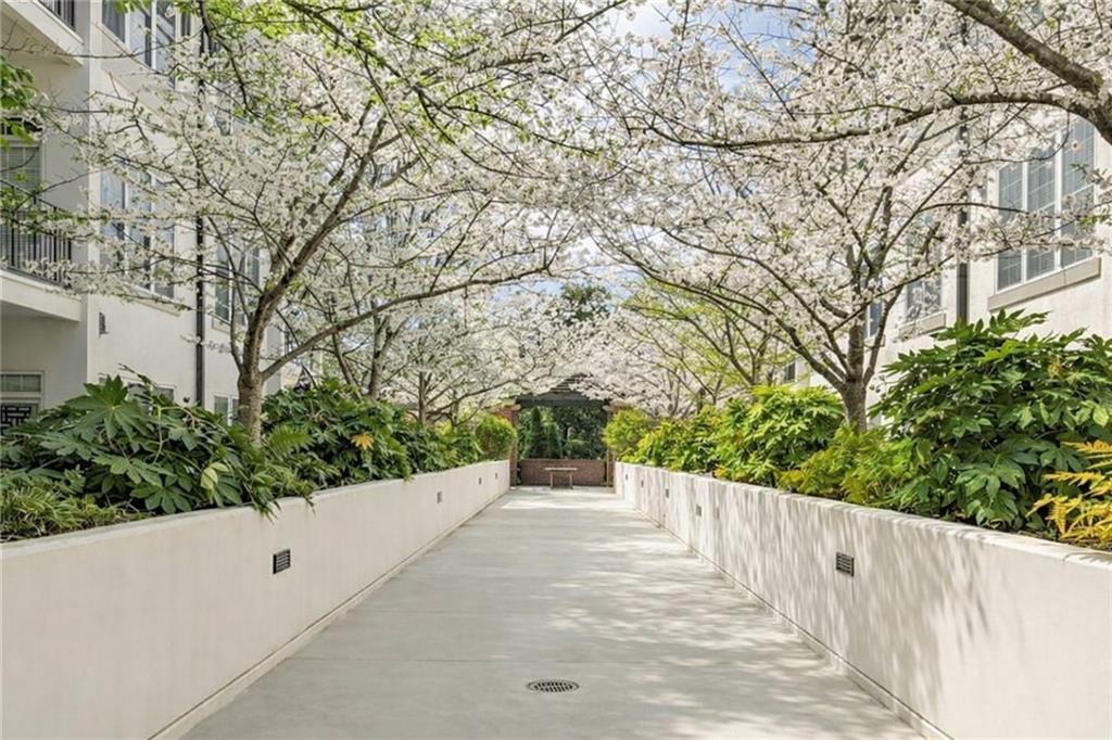 3101 Howell Mill Road Northwest, Unit 212 Atlanta, GA 30327 - Photo 6 of 37