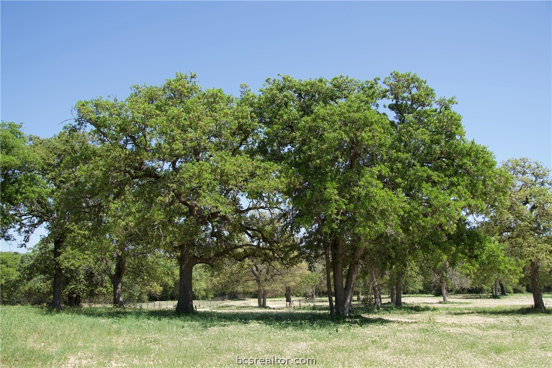 1035 Sayers Road Elgin, TX 78621 - Photo 2 of 20