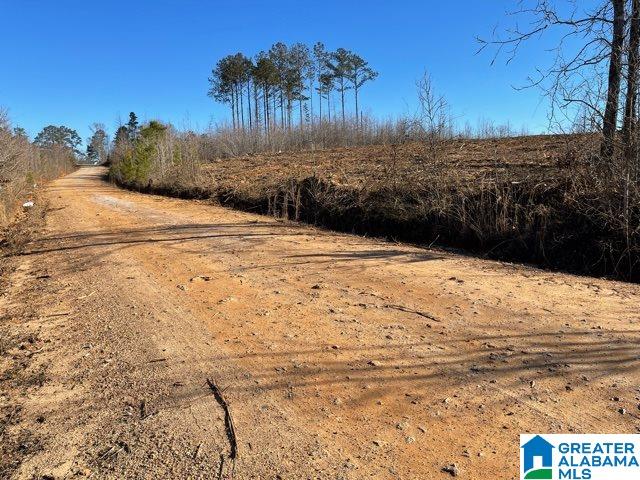 815 County Road, Unit 3 5 Wedowee, AL 36278 - Photo 2 of 4