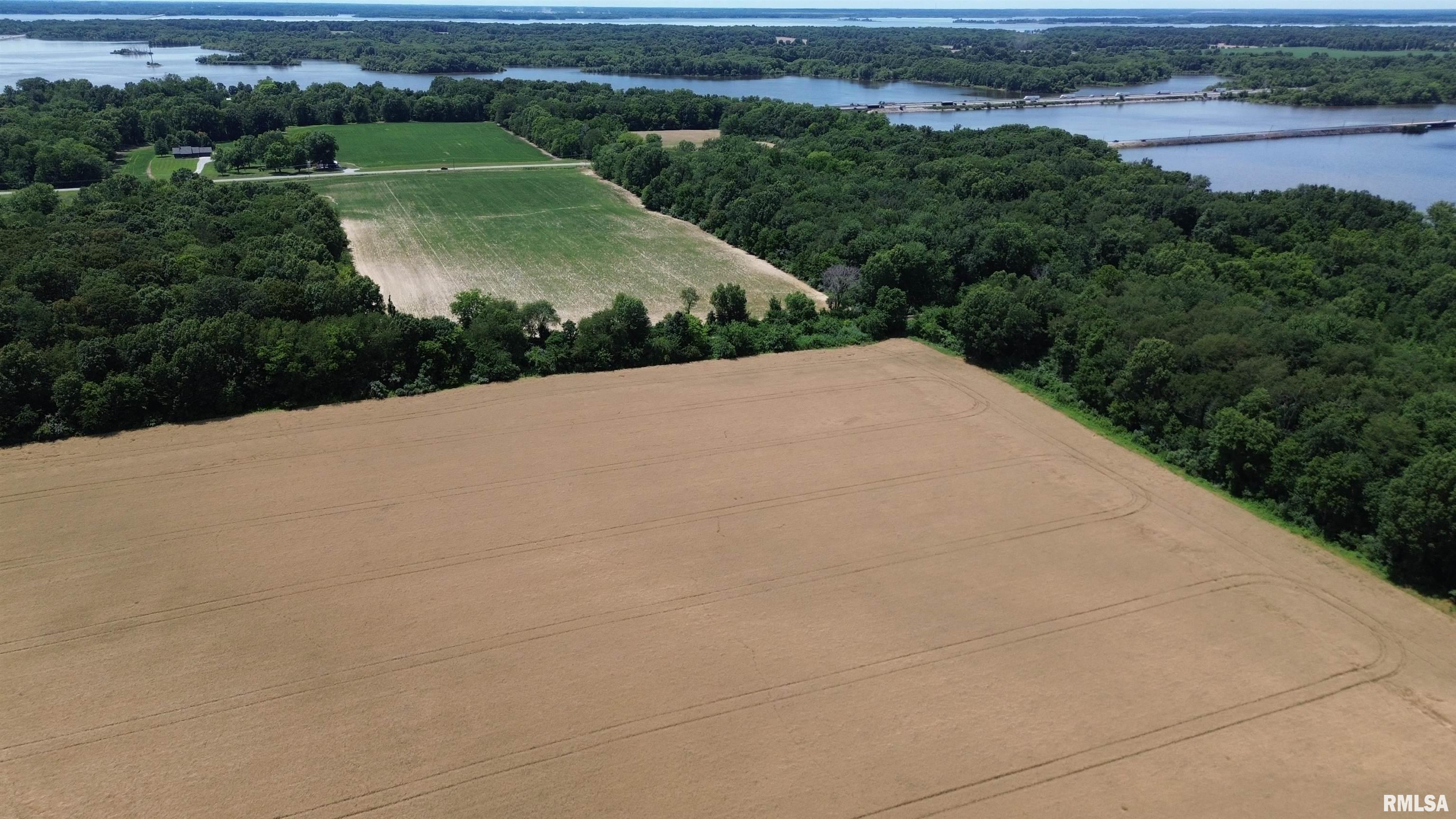 0 Ewing Road Whittington, IL 62897 - Photo 8 of 18