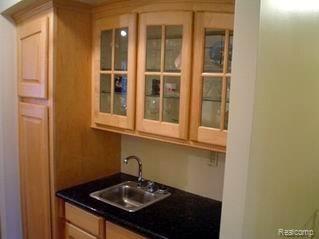 655 North Fairgrounds Road Imlay City, MI 48444 - Photo 7 of 14 Fairgrounds Wet Bar.jpg