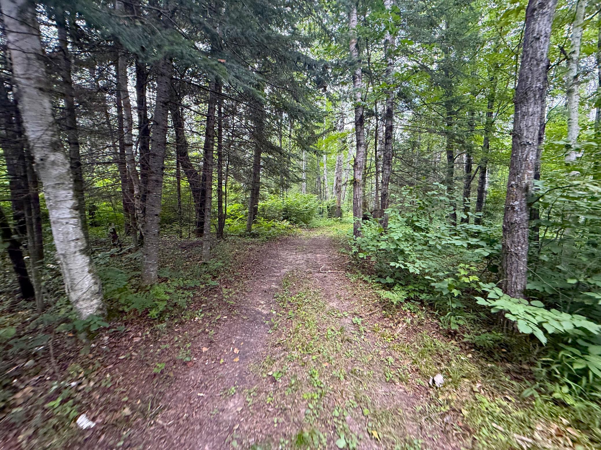 42050 Little Pine Road Emily, MN 56447 - Photo 132 of 141