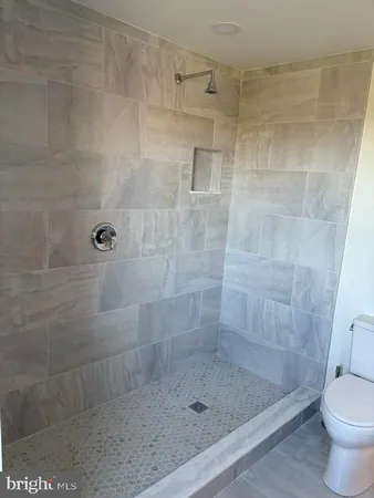 a bathroom with a shower and toilet
