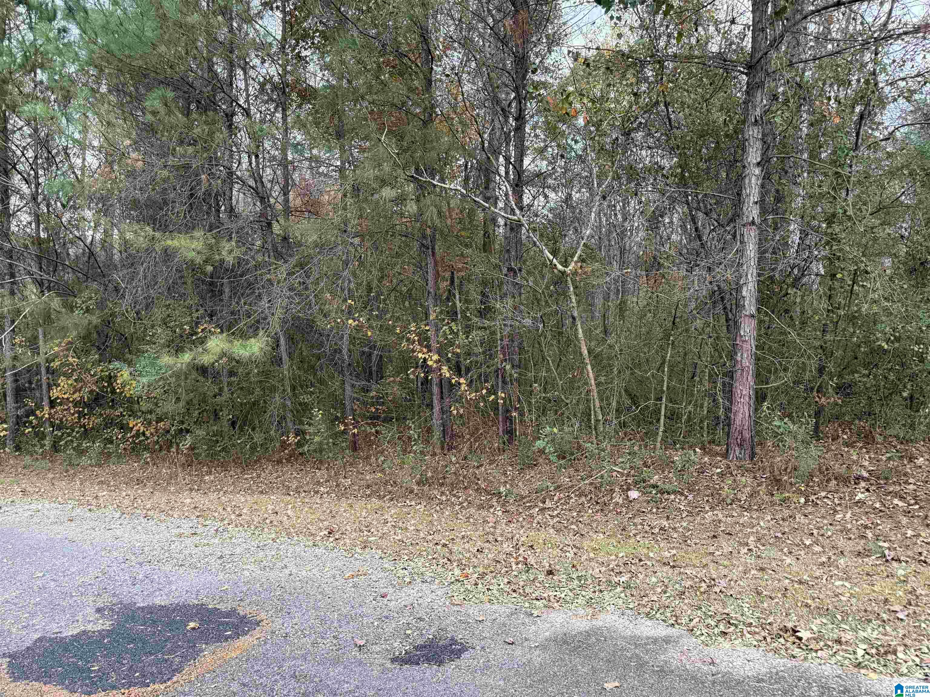 1 Spring Cove Road, Unit 1 Warrior, AL 35180 - Photo 4 of 5