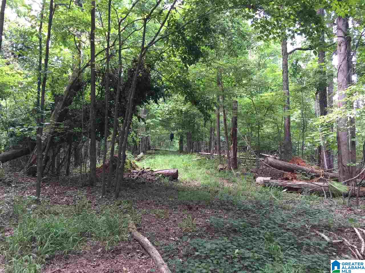 2364 Grants Mill Road Birmingham, AL 35210 - Photo 8 of 17