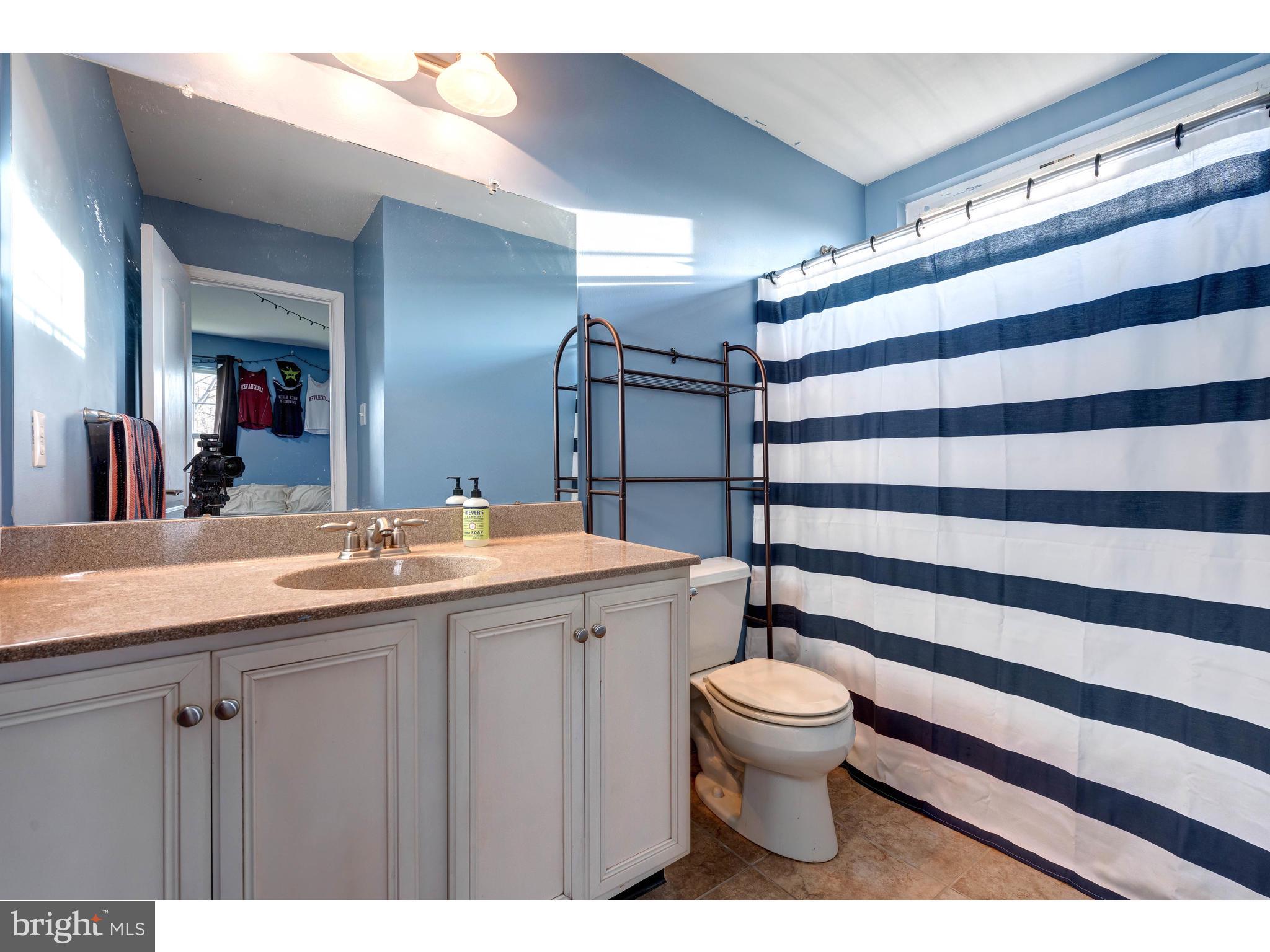 922 Nottingham Road Pottstown, PA 19465 - Photo 36 of 55 Princess Suite bath