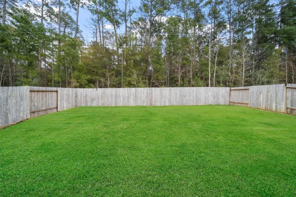 $305,000 | 1045 Dancing Feather Street, Montgomery, TX 77316