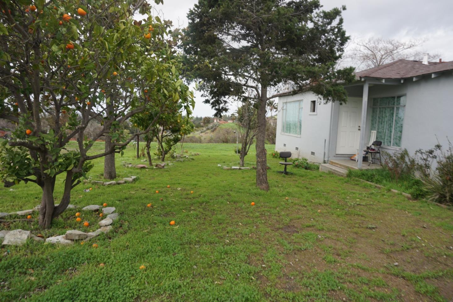 2310 Mt Pleasant Road San Jose, CA 95148 - Photo 10 of 12 a backyard of a house with plants and large tree