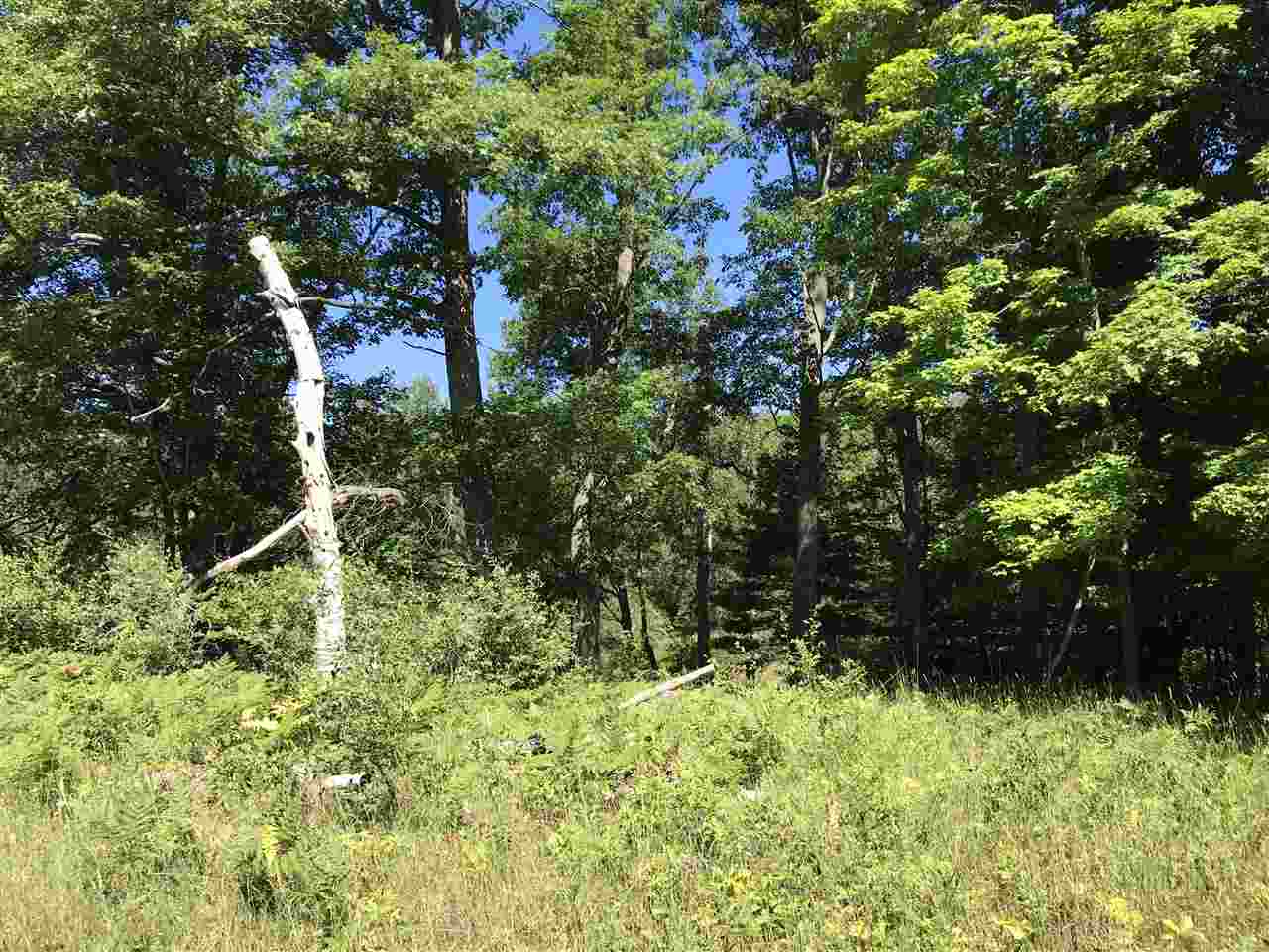 2004 Britt Road Hale, MI 48739 - Photo 18 of 25 1849653-17.JPG