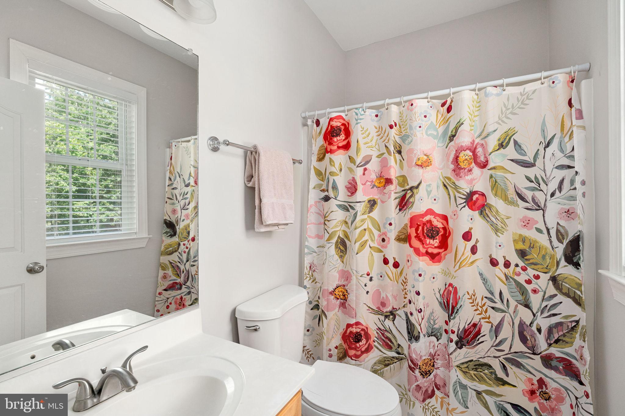 182 Wood Landing Road Fredericksburg, VA 22405 - Photo 53 of 102 a bathroom with a sink a toilet and shower curtain