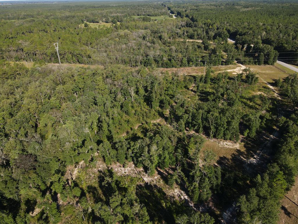 Undisclosed Address Samson, AL 36477 - Photo 29 of 39
